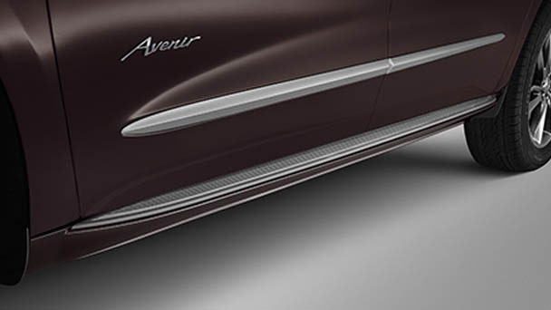 Molded assist steps