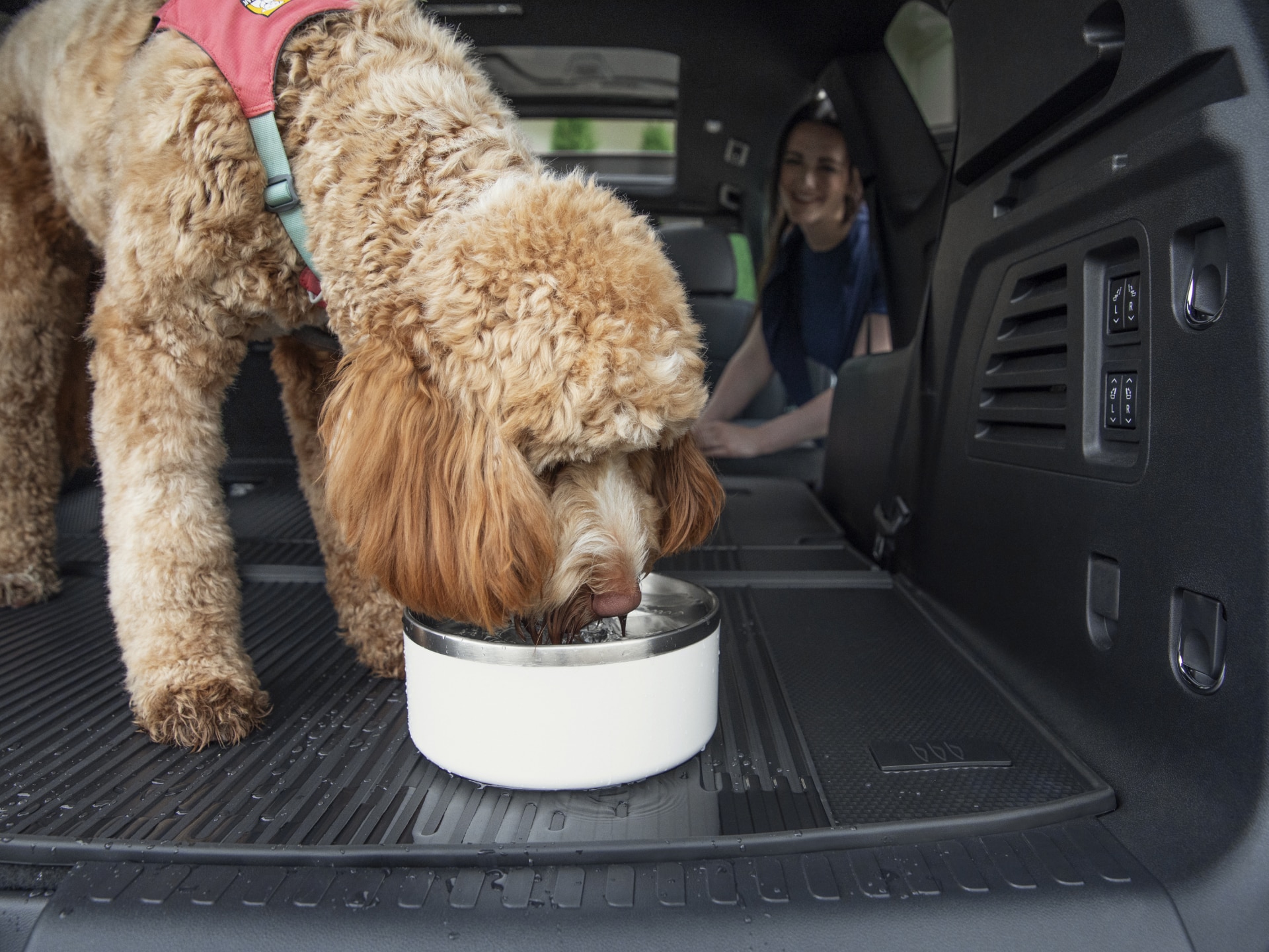 A Fluffy Reddish-Brown Dog Drinks Water From a Bowl in the Cargo Area of a Buick SUV with a Person Smiling in the Background