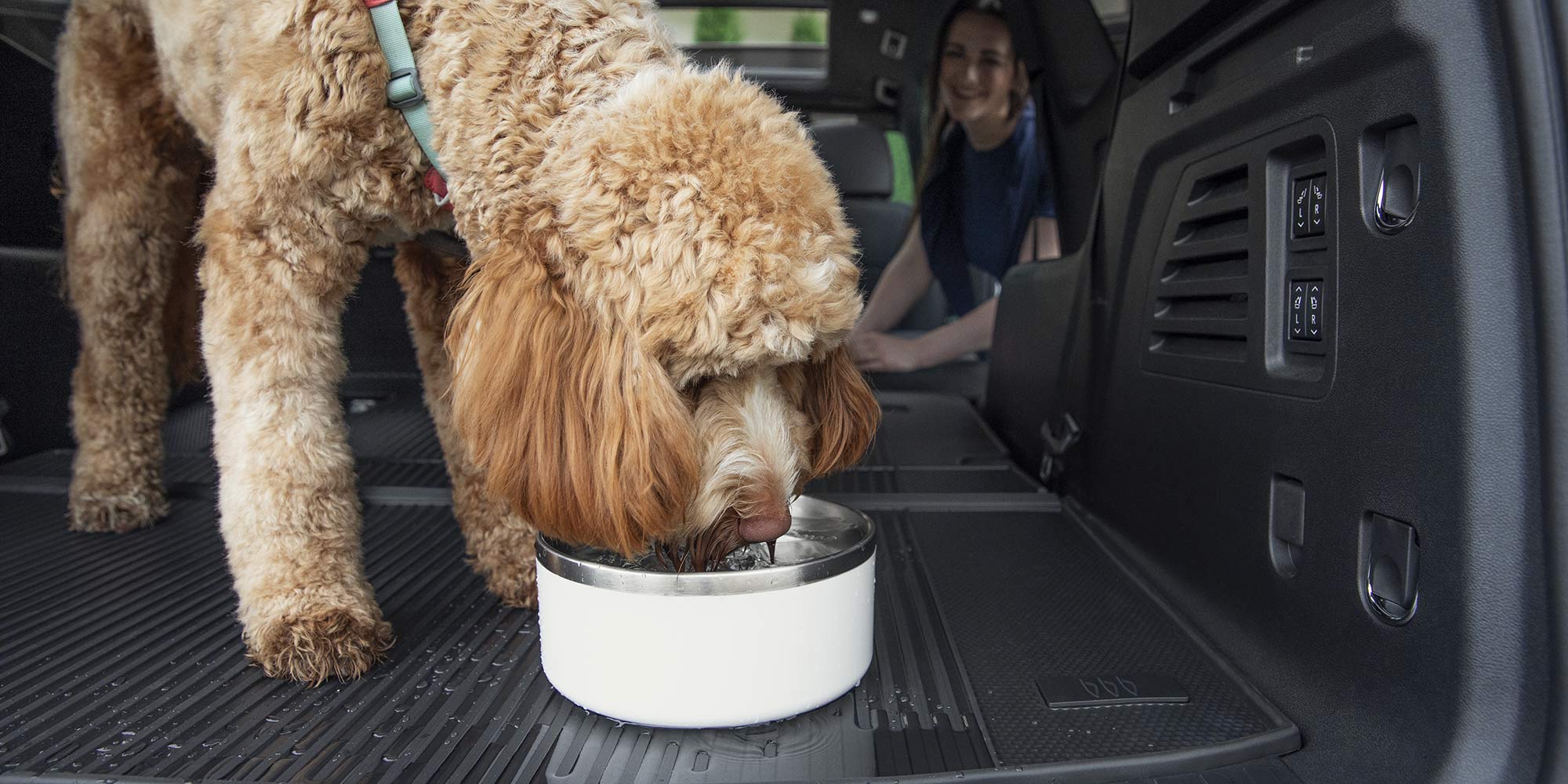 A Fluffy Reddish-Brown Dog Drinks Water From a Bowl in the Cargo Area of a Buick SUV with a Person Smiling in the Background