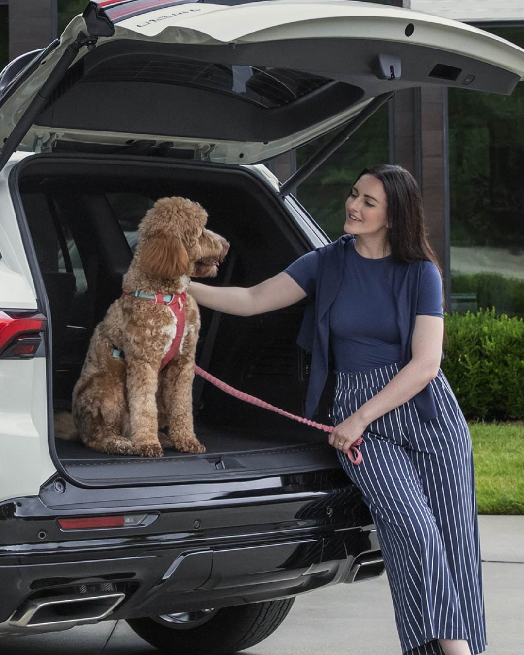 A Woman Sitting Beside the Open Liftgate of a White Buick Enclave SUV Petting a Brown Poodle Wearing a Red Harness