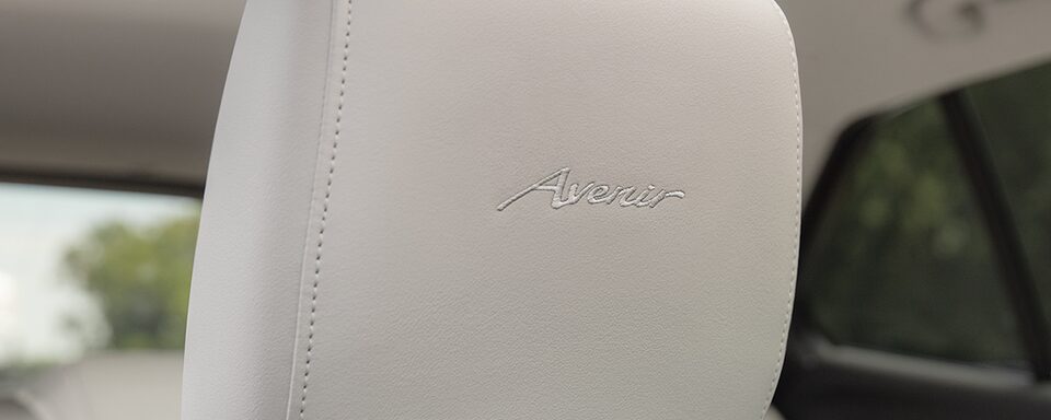 Buick Avenir Trim Headrest