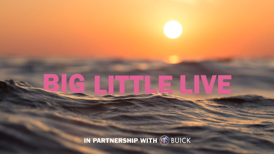 Big Little Live
