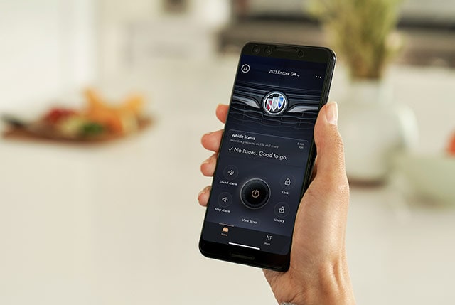 Buick Touch Screen