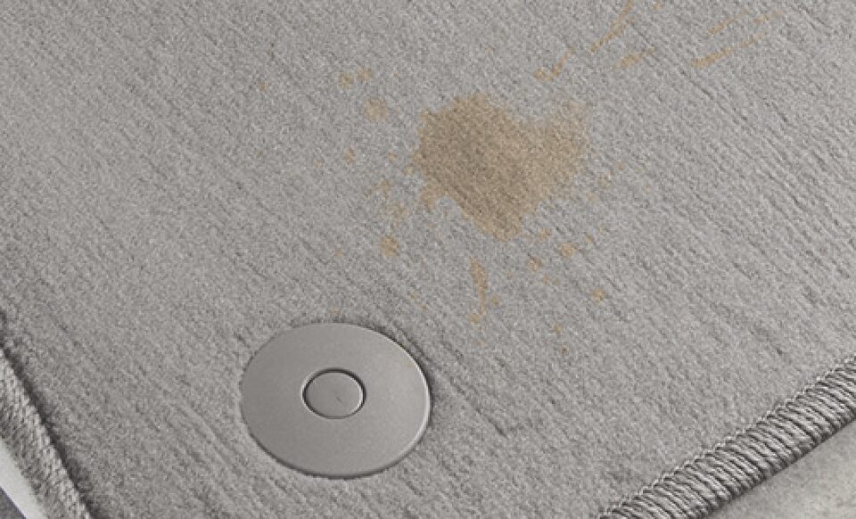 Buick Protection Removable Stains and Minor Carpet Wear