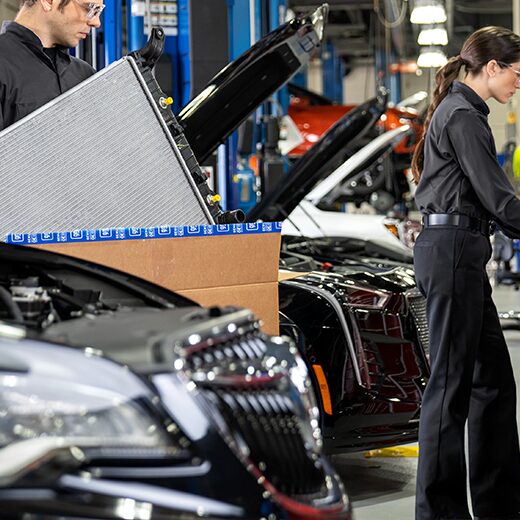 Redeem and Earn My Buick Rewards Points when purchasing parts for your vehicle