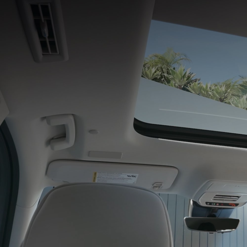 A Wide Interior View Showing a Car's Full Panoramic Sunroof with Blue Sky and Green Palm Trees Visible