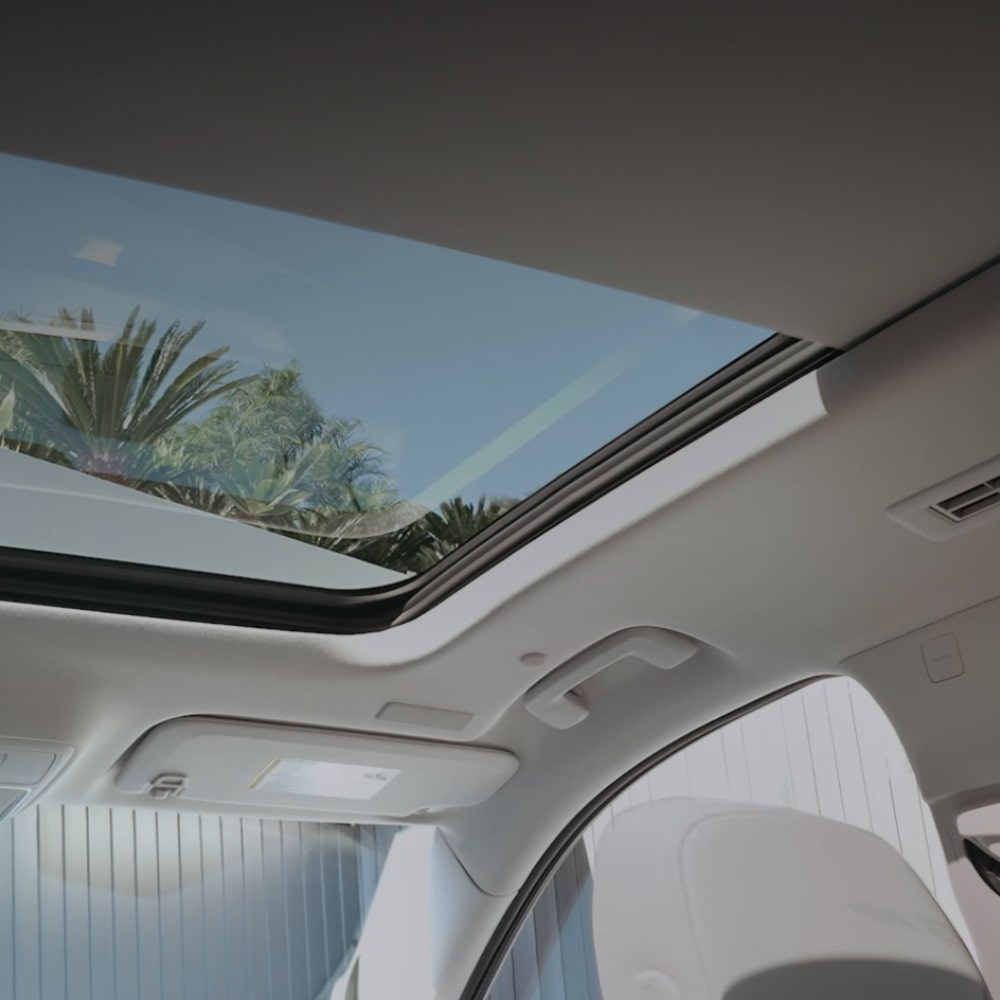 A Wide Interior View Showing a Car's Full Panoramic Sunroof with Blue Sky and Green Palm Trees Visible